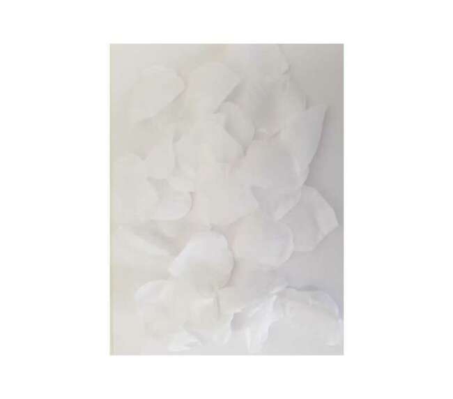 100 pétales blanc