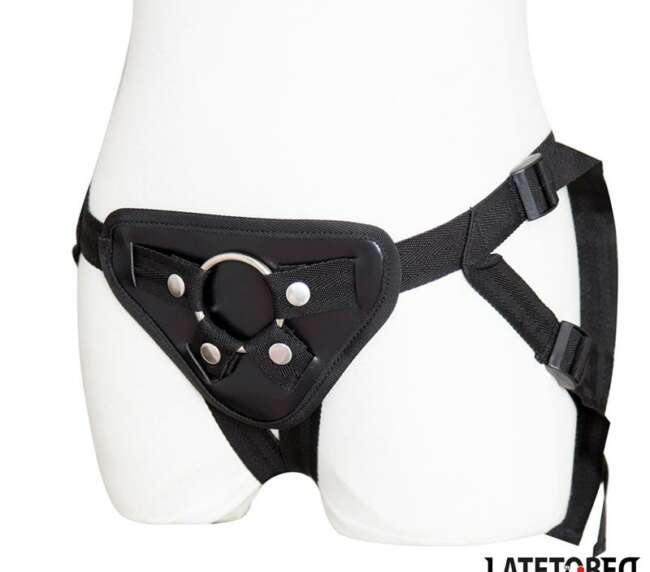 Correa ajustable con anilla metálica