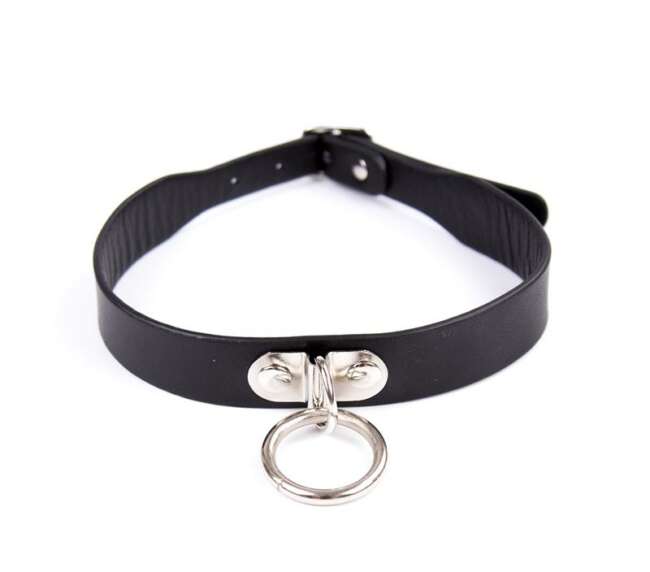 Collar Adjustable 43 cm Black