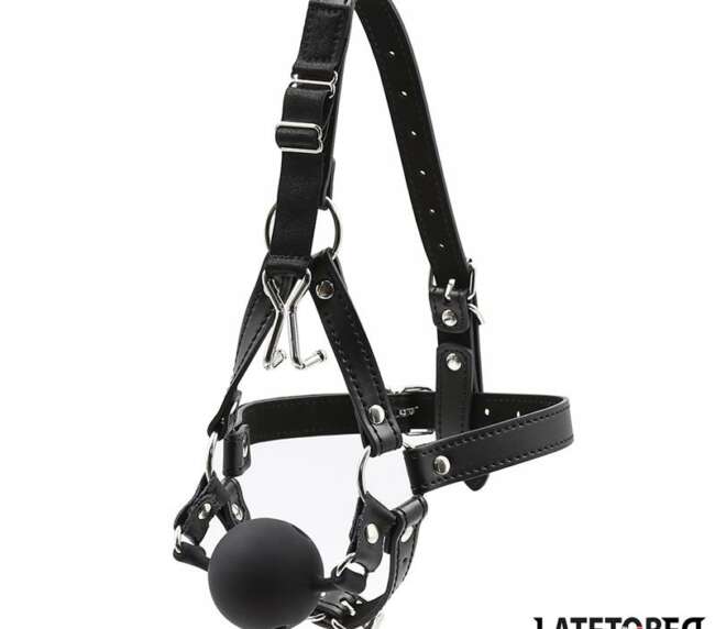 Head Harness with Ball Gag and Nose Hook