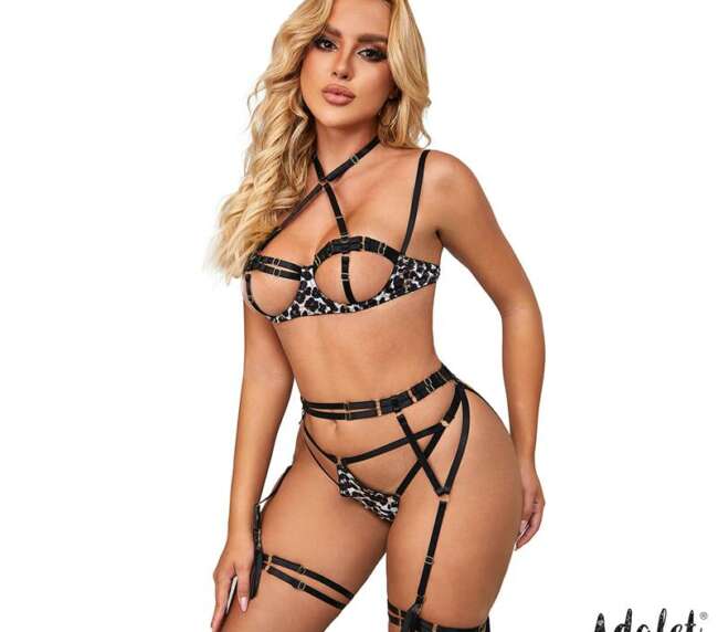 Lily Bra, Thong, Garter Belt, and Leopard Print Garters Set
