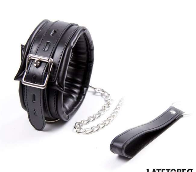 Padded Collar with Leash